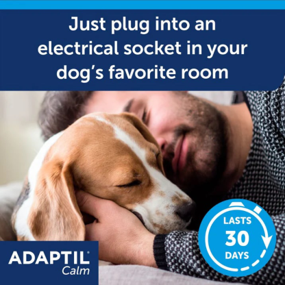 ADAPTIL Calm Diffuser | Separation Anxiety Stress Relief | Holistic Healthcare for Dogs