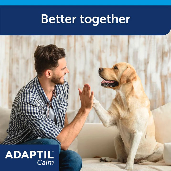 ADAPTIL Calm Diffuser | Separation Anxiety Stress Relief | Holistic Healthcare for Dogs