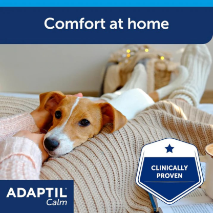 ADAPTIL Calm Diffuser | Separation Anxiety Stress Relief | Holistic Healthcare for Dogs