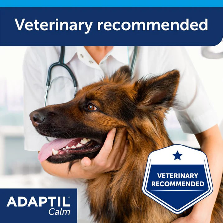 ADAPTIL Calm Diffuser | Separation Anxiety Stress Relief | Holistic Healthcare for Dogs