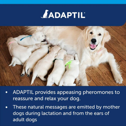 ADAPTIL Calm Diffuser | Separation Anxiety Stress Relief | Holistic Healthcare for Dogs