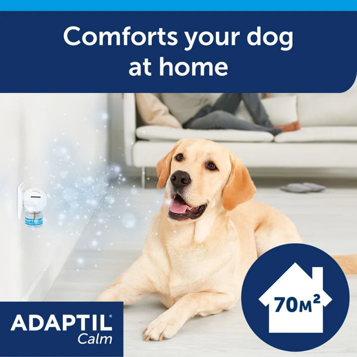 ADAPTIL Calm Diffuser | Separation Anxiety Stress Relief | Holistic Healthcare for Dogs