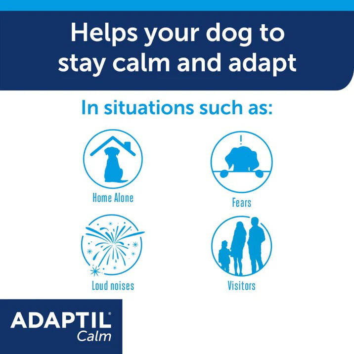 ADAPTIL Calm Diffuser | Separation Anxiety Stress Relief | Holistic Healthcare for Dogs