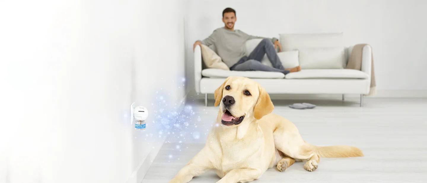 ADAPTIL Calm Diffuser | Separation Anxiety Stress Relief | Holistic Healthcare for Dogs