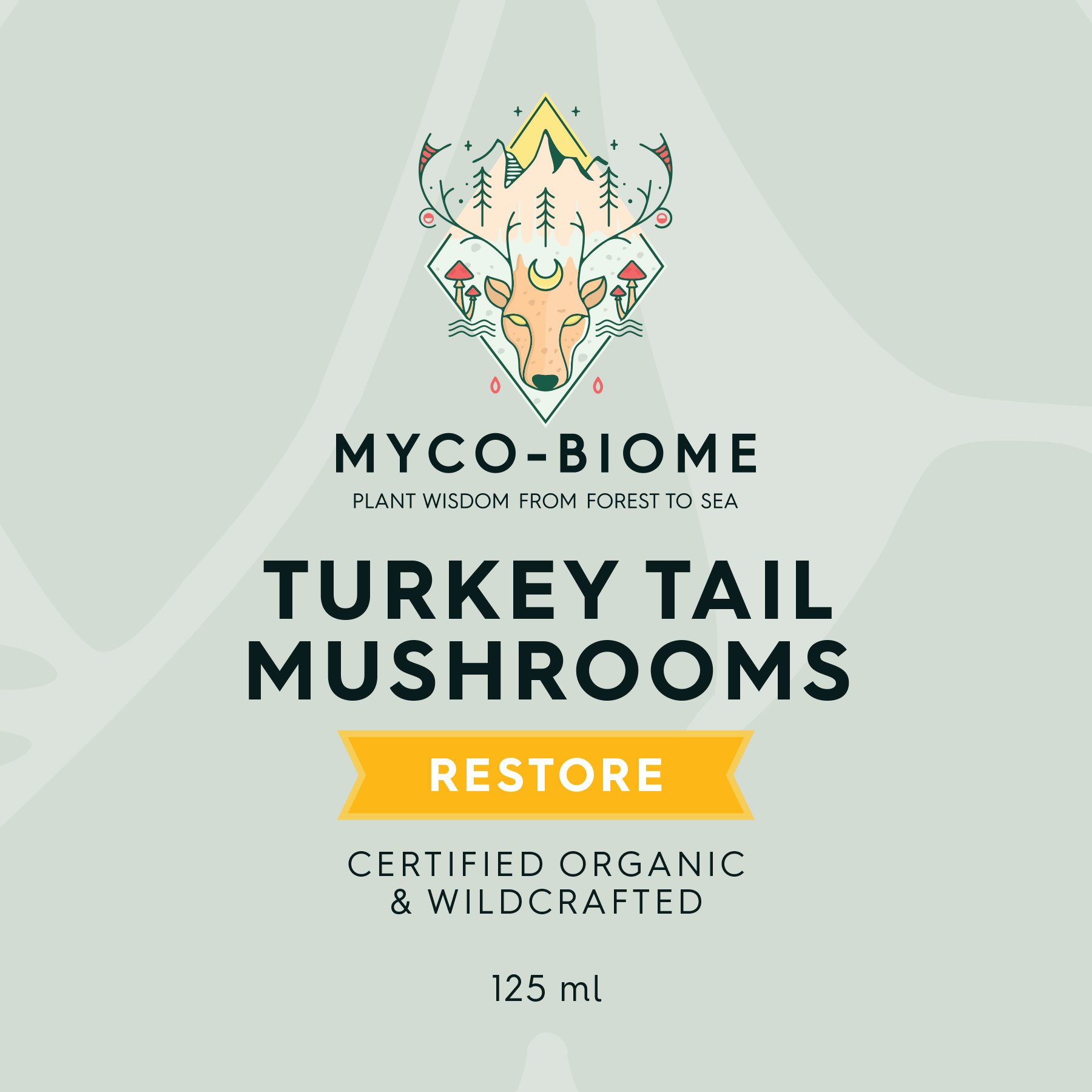 Adored Beast Myco-Biome Turkey Tail Mushrooms (125ml) | Immune Prebiotics Cancer Support | Holistic Healthcare for Dogs and Cats
