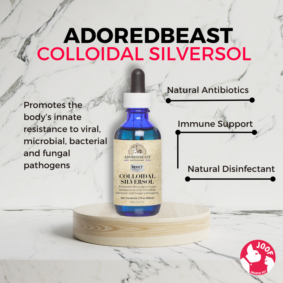 Adored Beast Colloidal SilverSol (60ml) Antiviral Antifungal Immune Support for Dogs and Cats