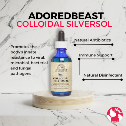 Adored Beast Colloidal SilverSol (60ml) Antiviral Antifungal Immune Support for Dogs and Cats