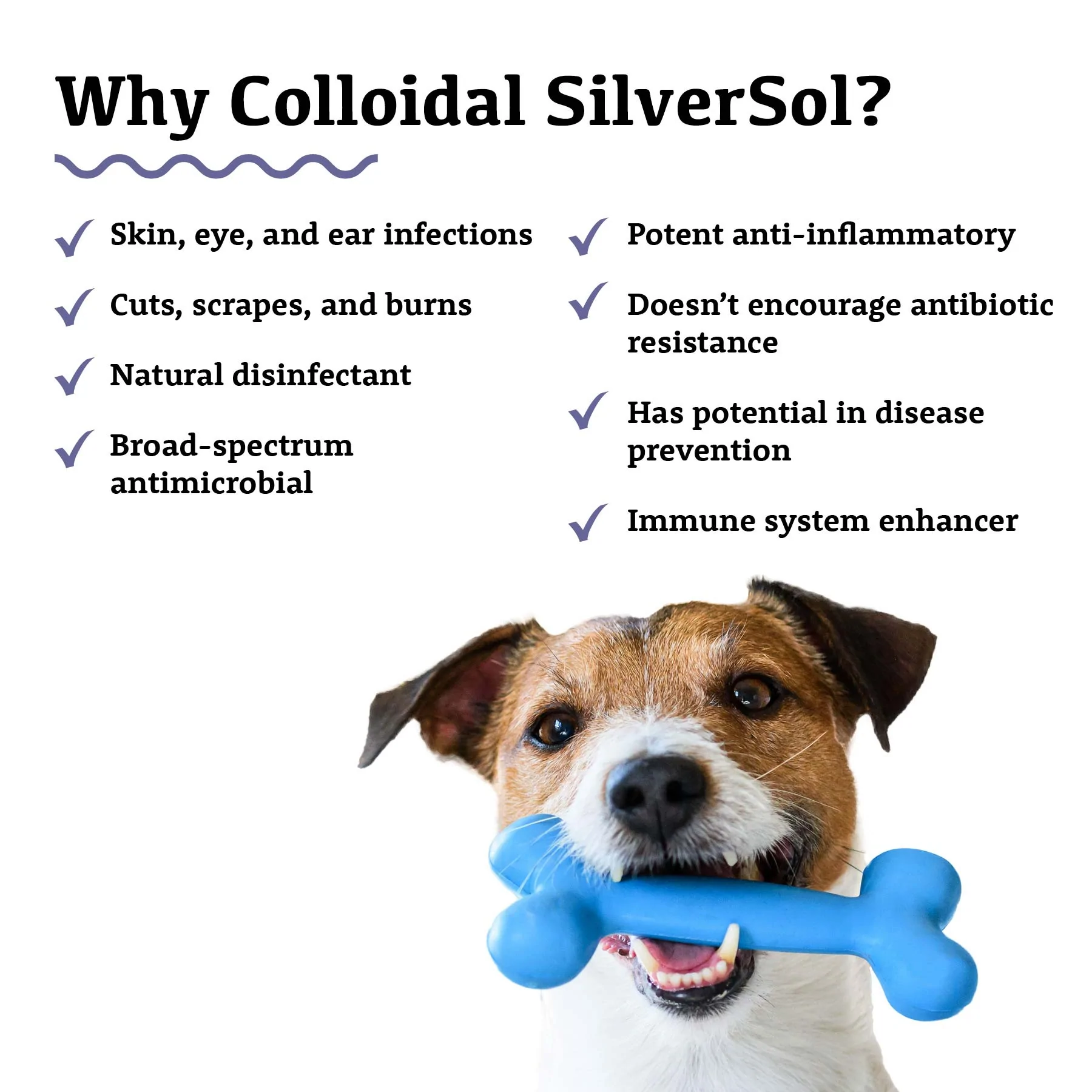 Adored Beast Colloidal SilverSol (60ml) Antiviral Antifungal Immune Support for Dogs and Cats