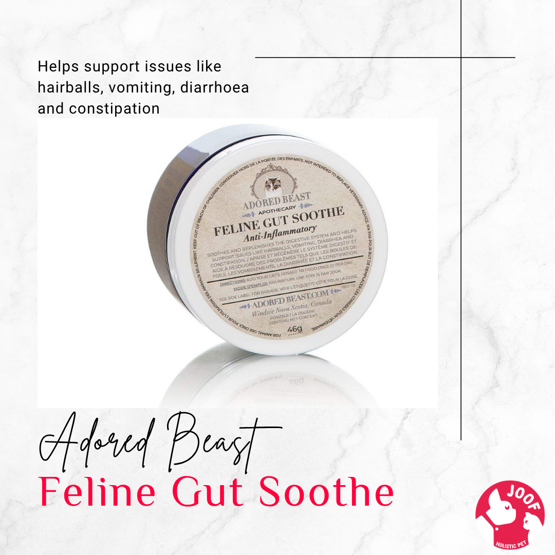 Adored Beast Feline Gut Soothe (46g) Cat Probiotic Diarrhea IBD Loose Stool Support for Cats