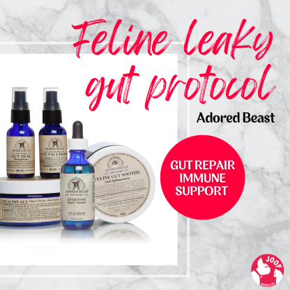 Adored Beast Feline Leaky Gut Protocol Leaky Gut IBD Gut Repair Immune Support for Cats