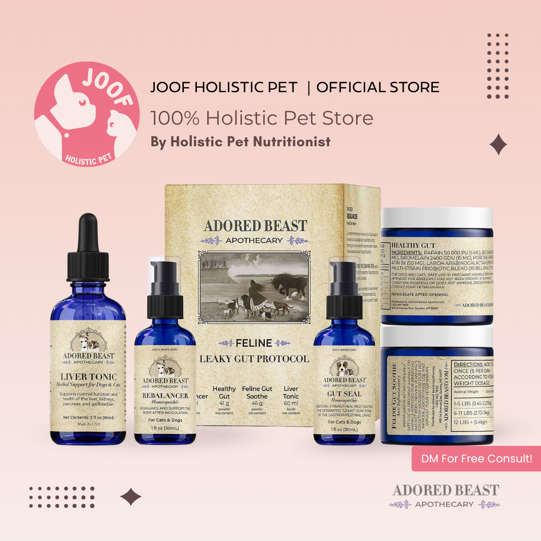 Adored Beast Feline Leaky Gut Protocol Leaky Gut IBD Gut Repair Immune Support for Cats