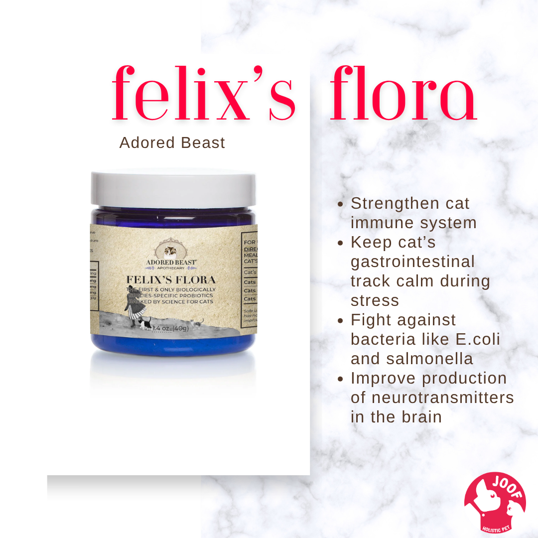 Adored Beast Felix's Flora (40g) Cat Probiotics Prebiotics Gut Health Loose Stool Support for Cats