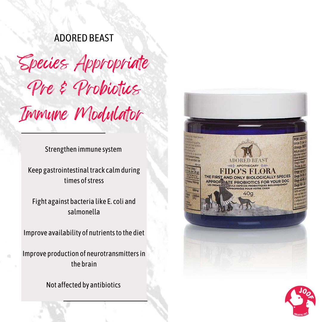 Adored Beast Fido's Flora (40g & 80g) Probiotics Prebiotics Gut Health Loose Stool Support for Dogs