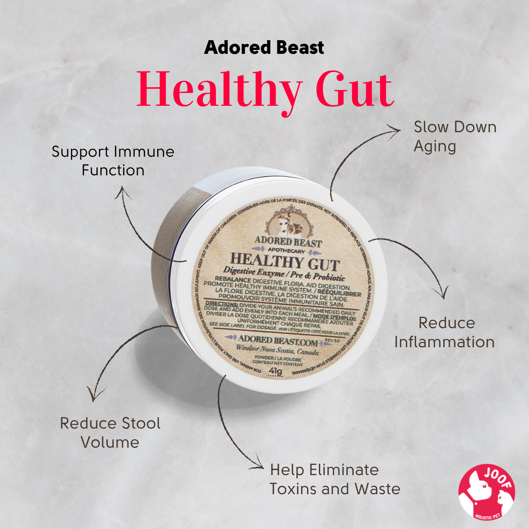 Adored Beast Plant Powered Healthy Gut (41g & 83g) Digestive Enzyme Probiotic Gut Health Support for Dogs and Cats