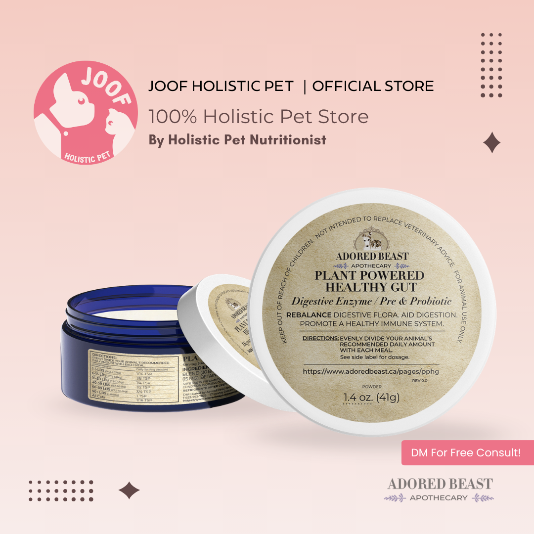 Adored Beast Plant Powered Healthy Gut (41g & 83g) Digestive Enzyme Probiotic Gut Health Support for Dogs and Cats