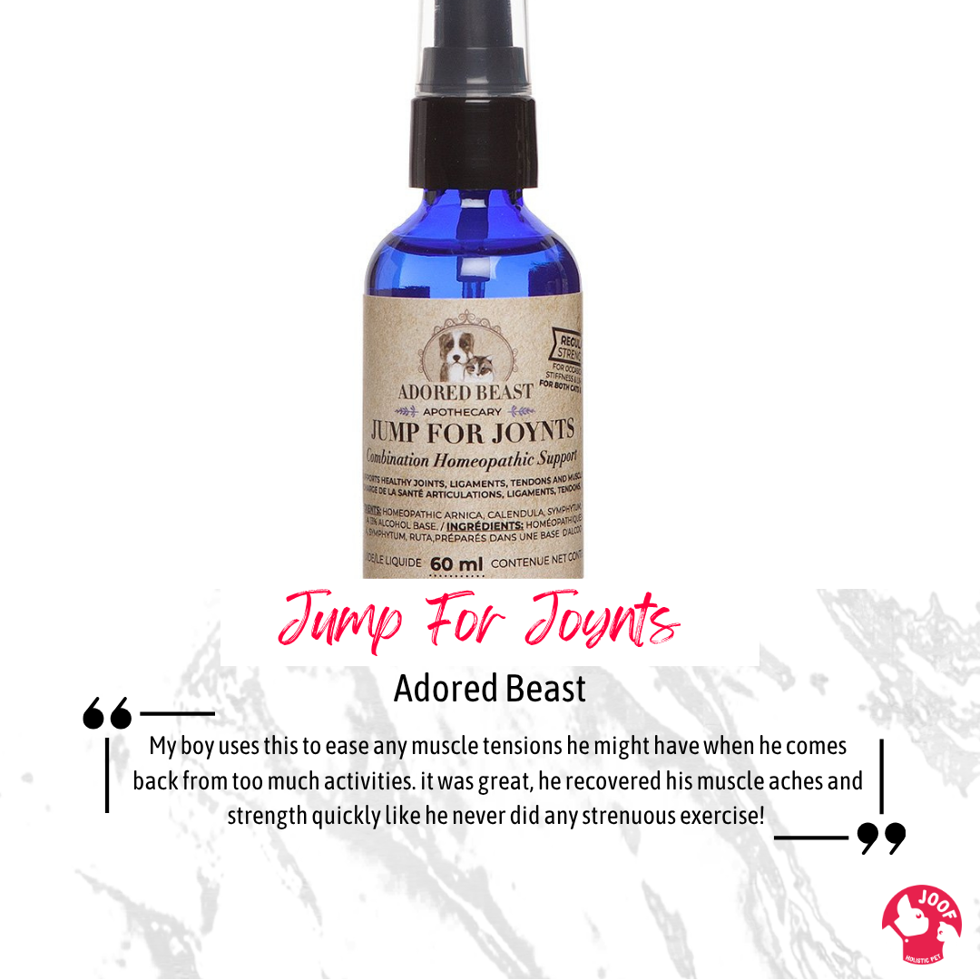 Adored Beast Jump For Joynts (60ml) Joint Hip Mobility Arthritis Pain Support for Dogs and Cats