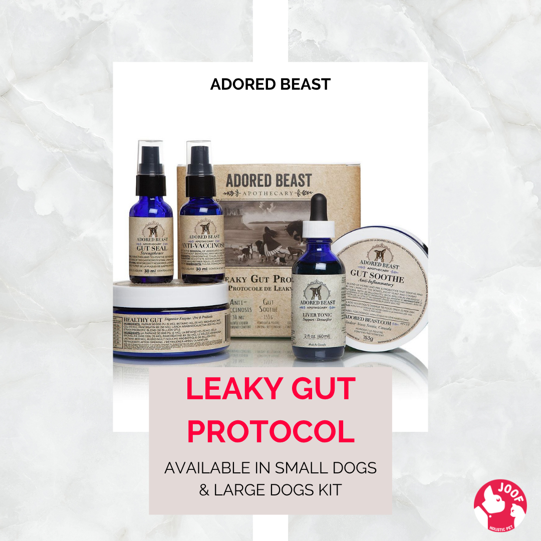 Adored Beast Leaky Gut Protocol (Small & Large Dog) Leaky Gut IBD Gut Repair Immune Support for Dogs