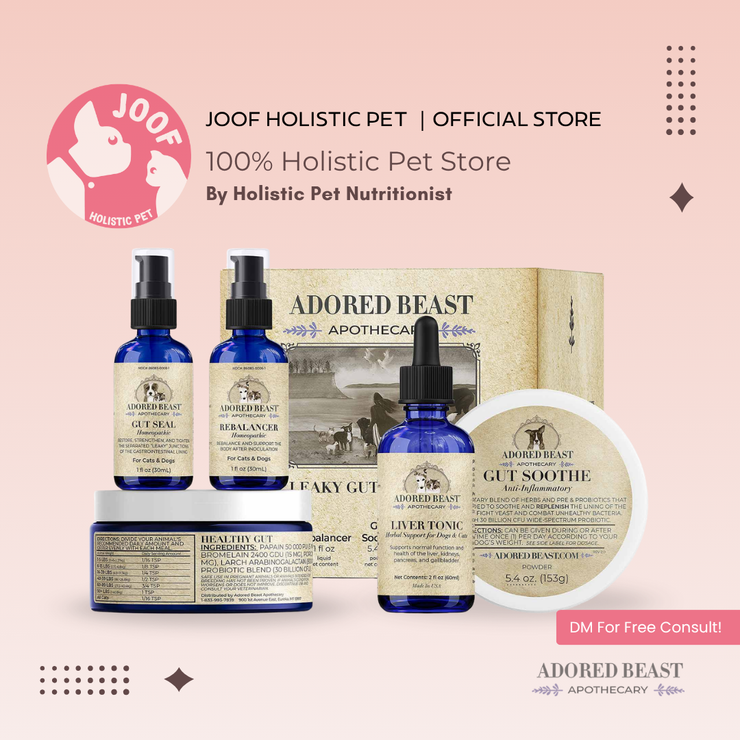 Adored Beast Leaky Gut Protocol (Small & Large Dog) Leaky Gut IBD Gut Repair Immune Support for Dogs