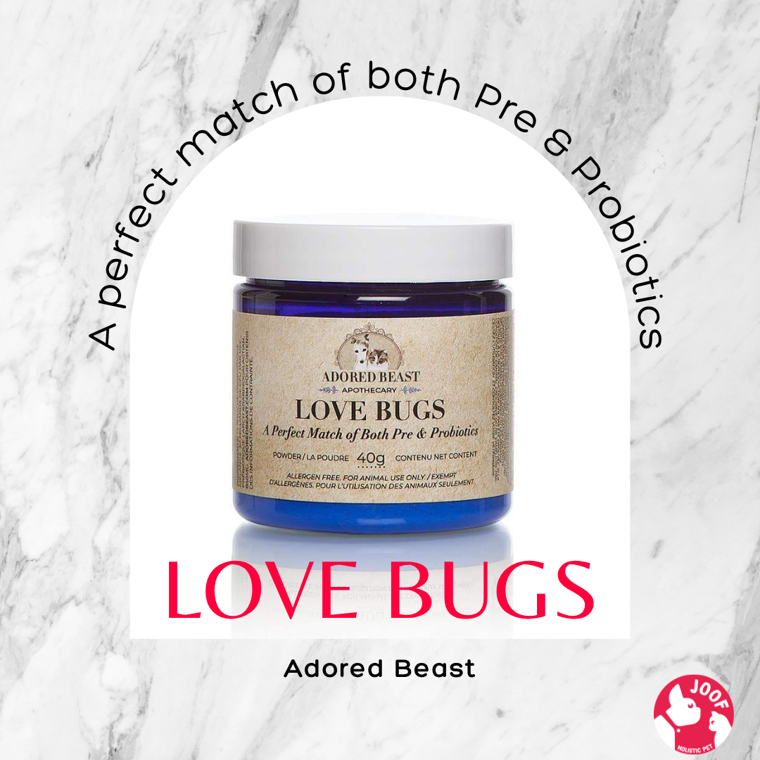 Adored Beast Love Bugs (40g & 80g) Daily Probiotics Prebiotics Gut Health Immunity Digestive Support for Dogs and Cats