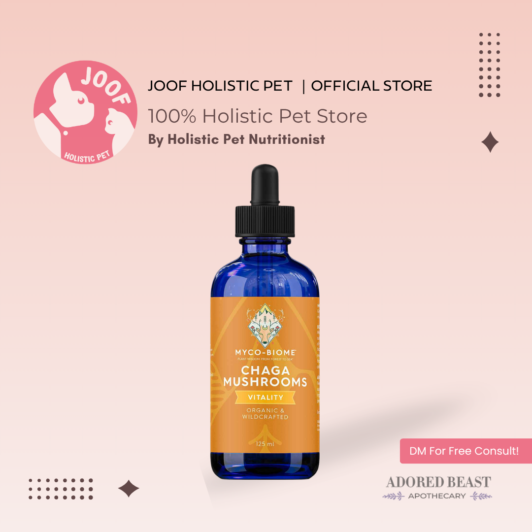 Adored Beast Myco Biome Chaga Mushroom (125ml) Immune Antioxidant Cancer Support for Dogs and Cats