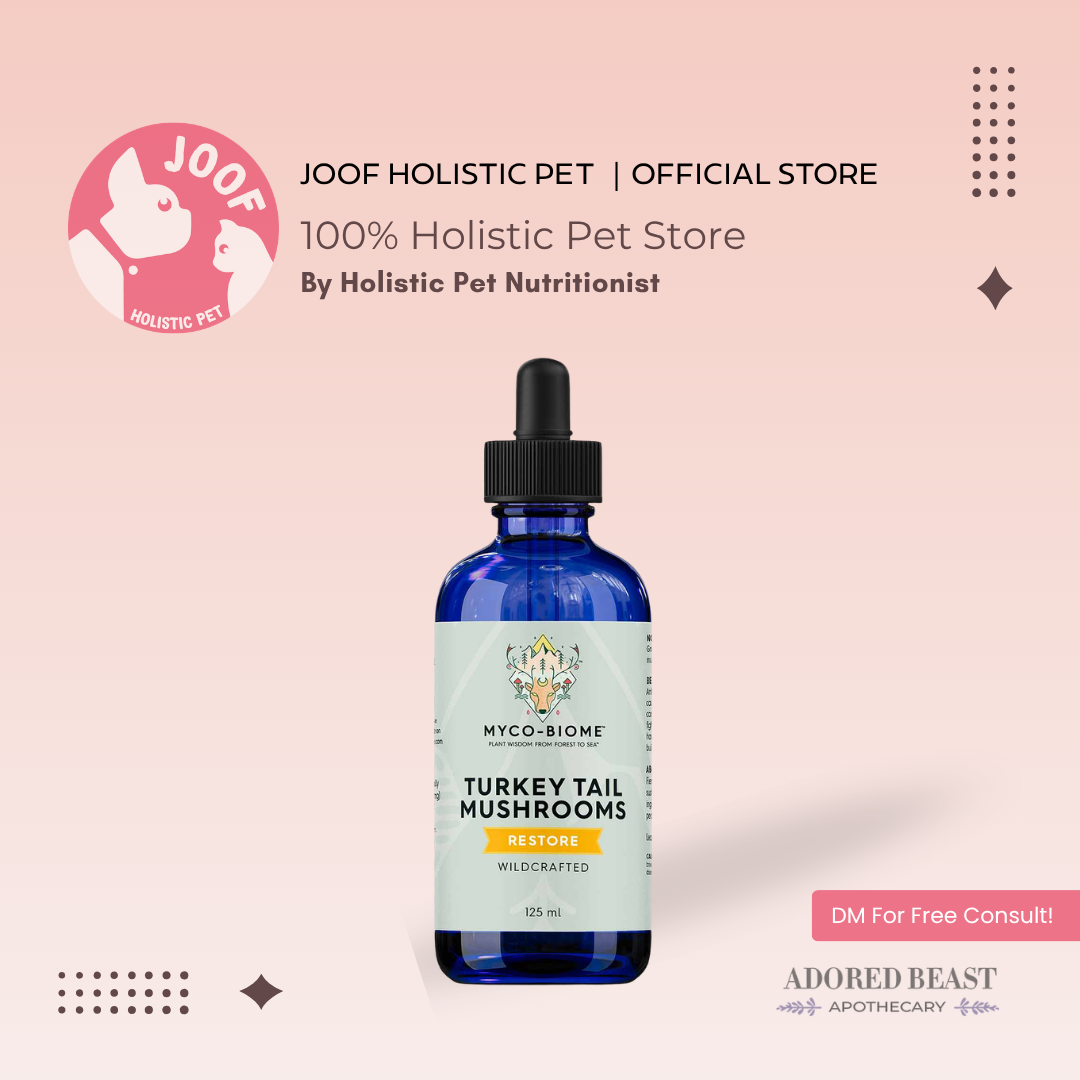 Adored Beast Myco Biome Turkey Tail Mushroom (125ml) Immune Gut Prebiotic Cancer Support for Dogs and Cats