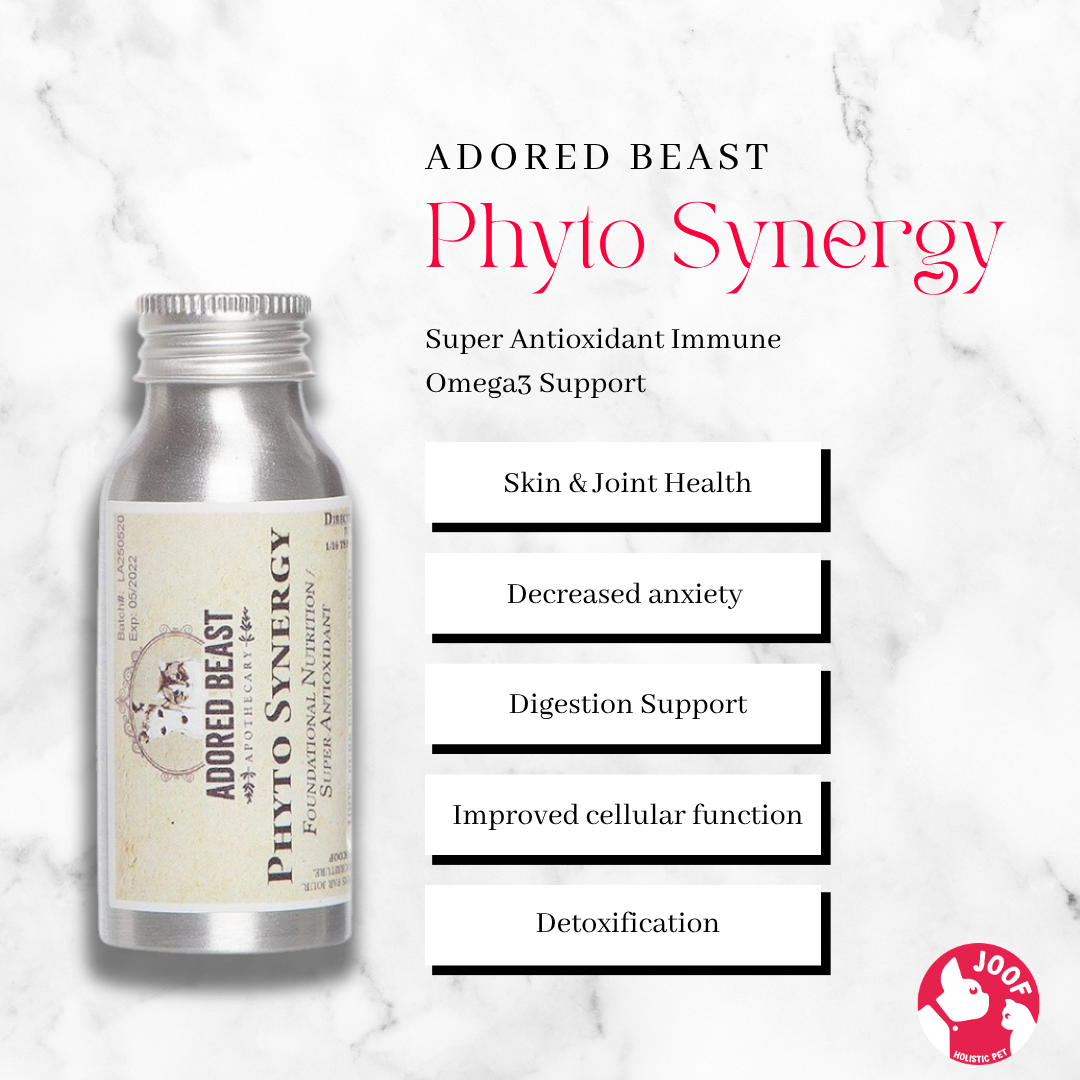 Adored Beast Phyto Synergy (15g & 32g) Omega 3 Antioxidant Skin Coat Dull Fur Support for Dogs and Cats