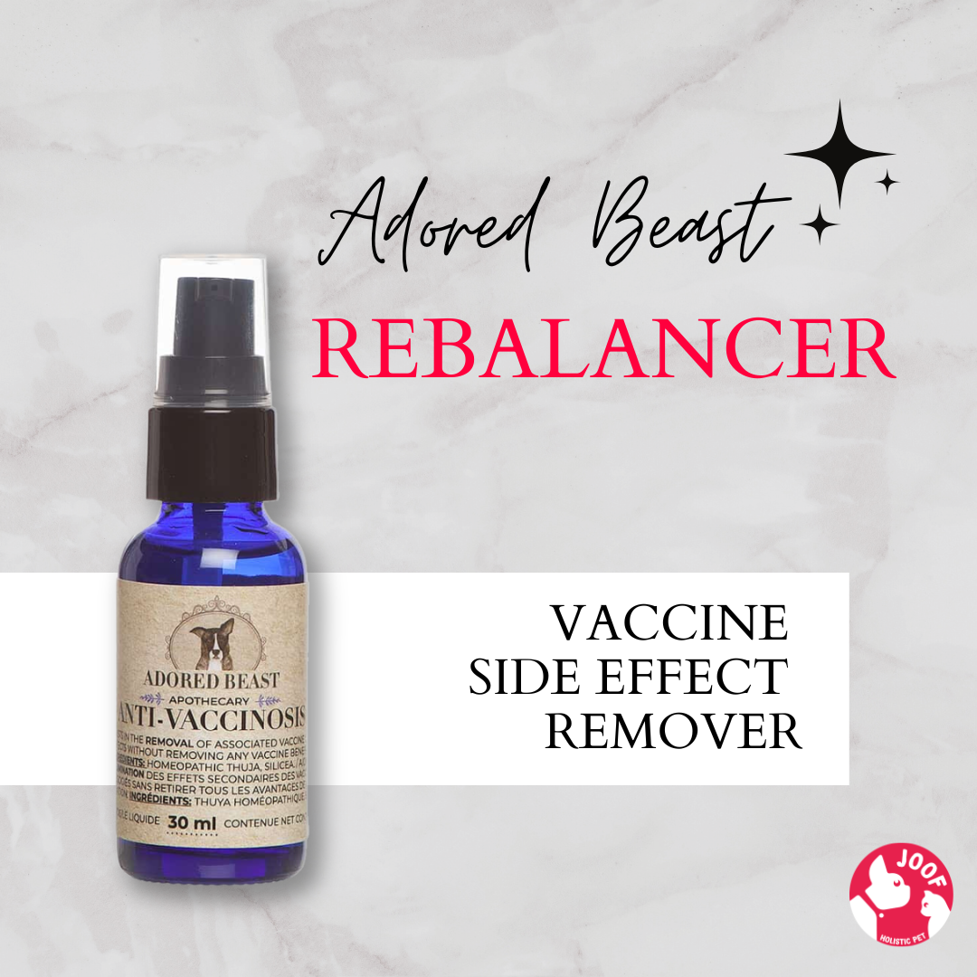 Adored Beast Rebalancer (30ml) Post Vaccine Detox Support for Dogs and Cats