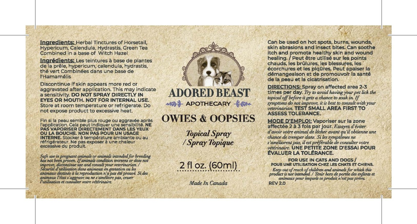 Adored Beast Skin Health Spray (60ml) Wound Hotspot Cuts Scrapes First Aid Support for Dogs and Cats
