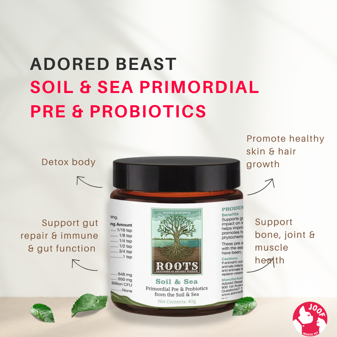 Adored Beast Soil and Sea (40g & 80g) Gut Repair Leaky Gut Mineral Support for Dogs and Cats