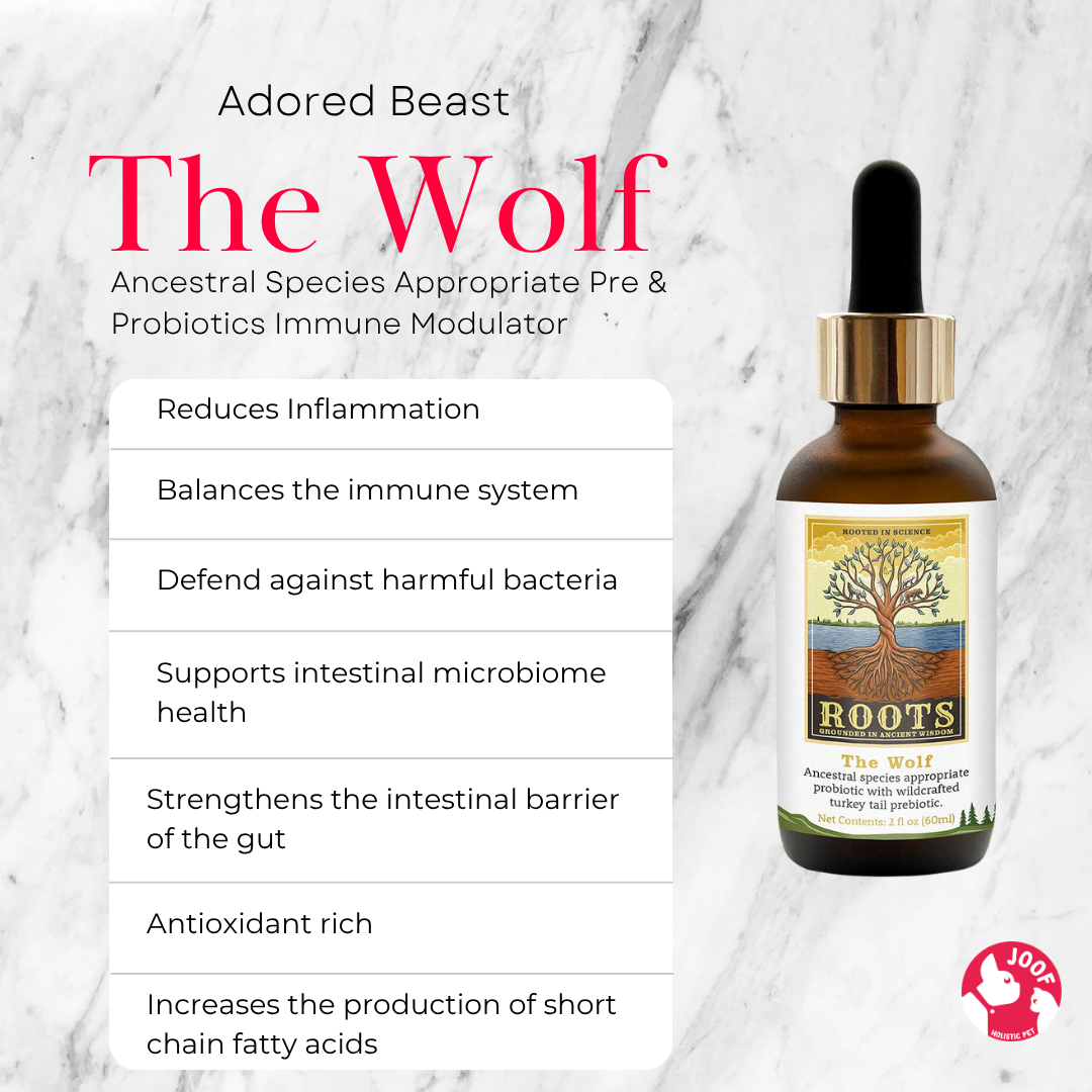 Adored Beast The Wolf (60ml) Species Appropriate Probiotics Prebiotics Gut Immunity Support for Dogs