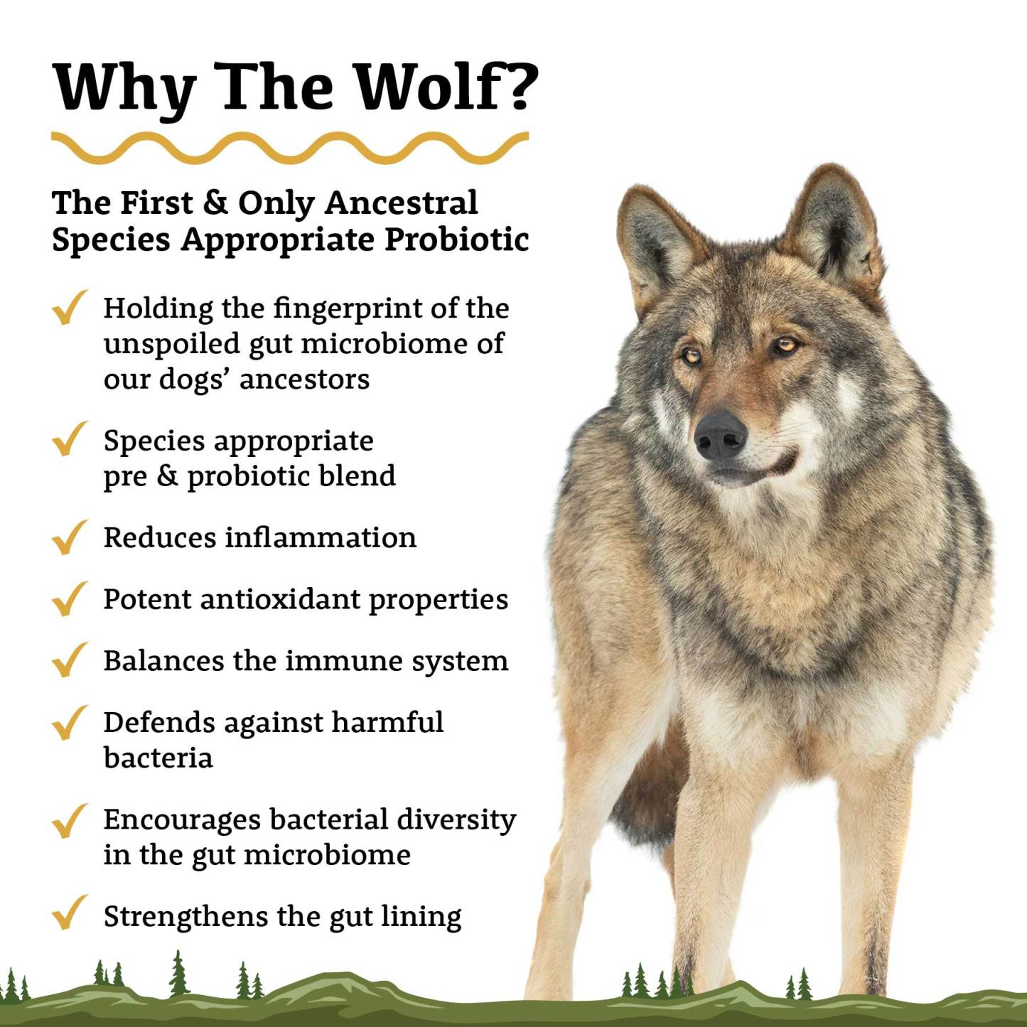 Adored Beast The Wolf (60ml) Species Appropriate Probiotics Prebiotics Gut Immunity Support for Dogs