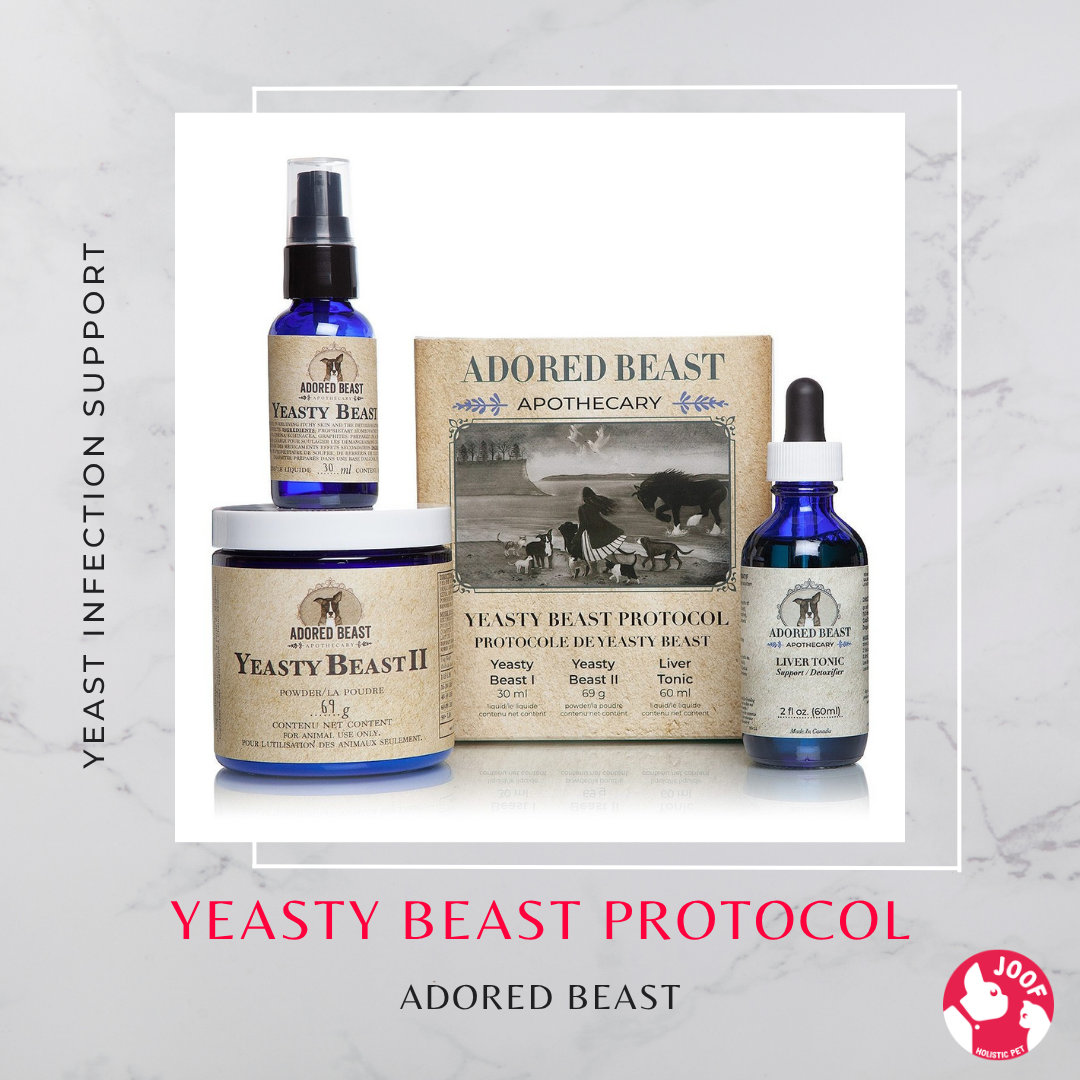 Adored Beast Yeasty Beast Protocol Yeast Infection Itchy Skin Ear Support for Dogs
