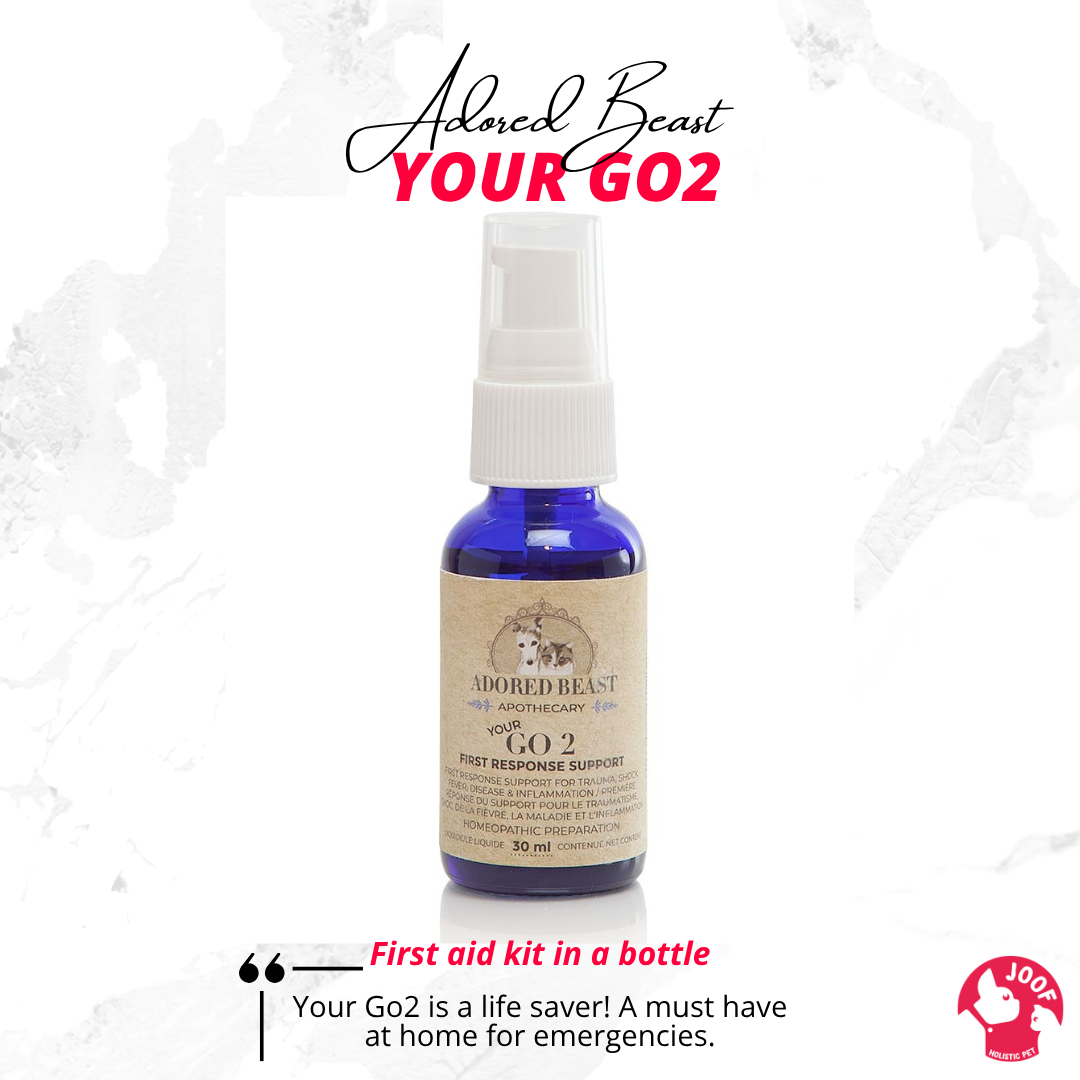Adored Beast Your Go 2 (30ml) First Aid Homeopathic Recovery Support for Dogs and Cats