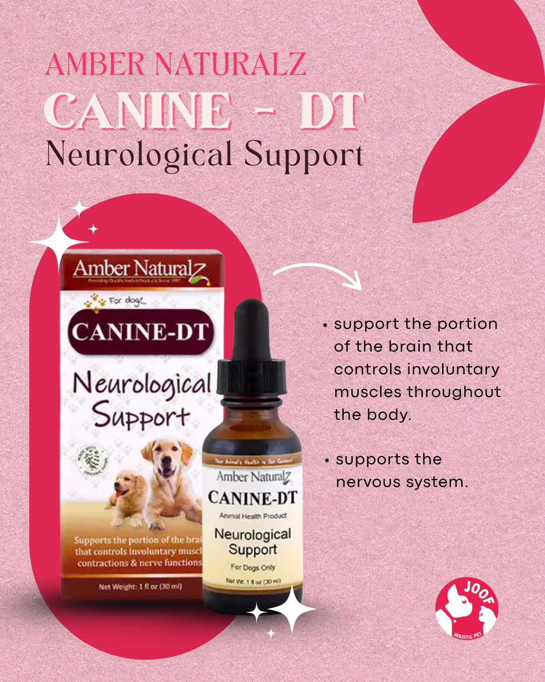 Amber Naturalz Canine DT (1oz) Nerve Seizure Brain Neurological Support Herbal Tincture for Dogs