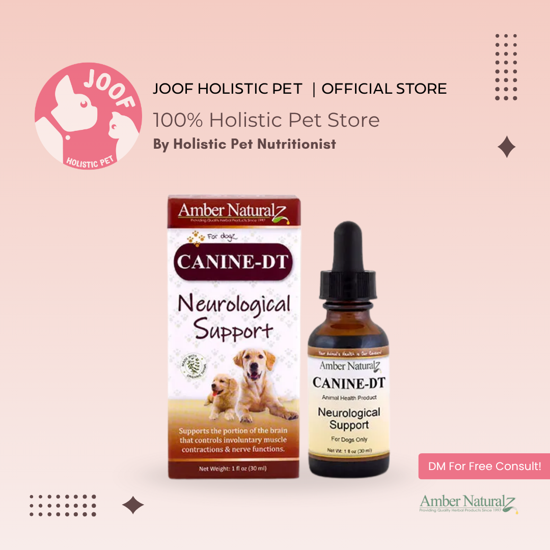 Amber Naturalz Canine DT (1oz) Nerve Seizure Brain Neurological Support Herbal Tincture for Dogs
