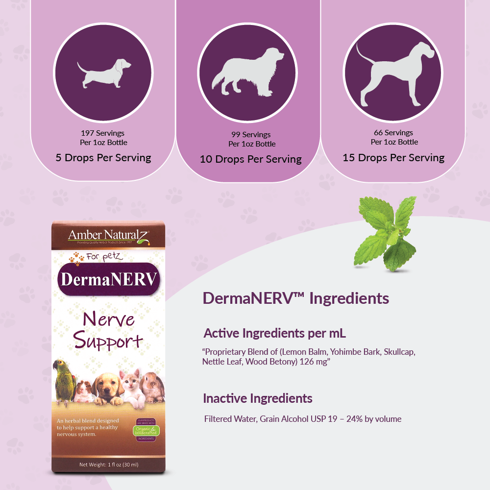 Amber Naturalz DermaNERV (1oz) Nerve Skin Neurological Support Herbal Tincture for Dogs and Cats