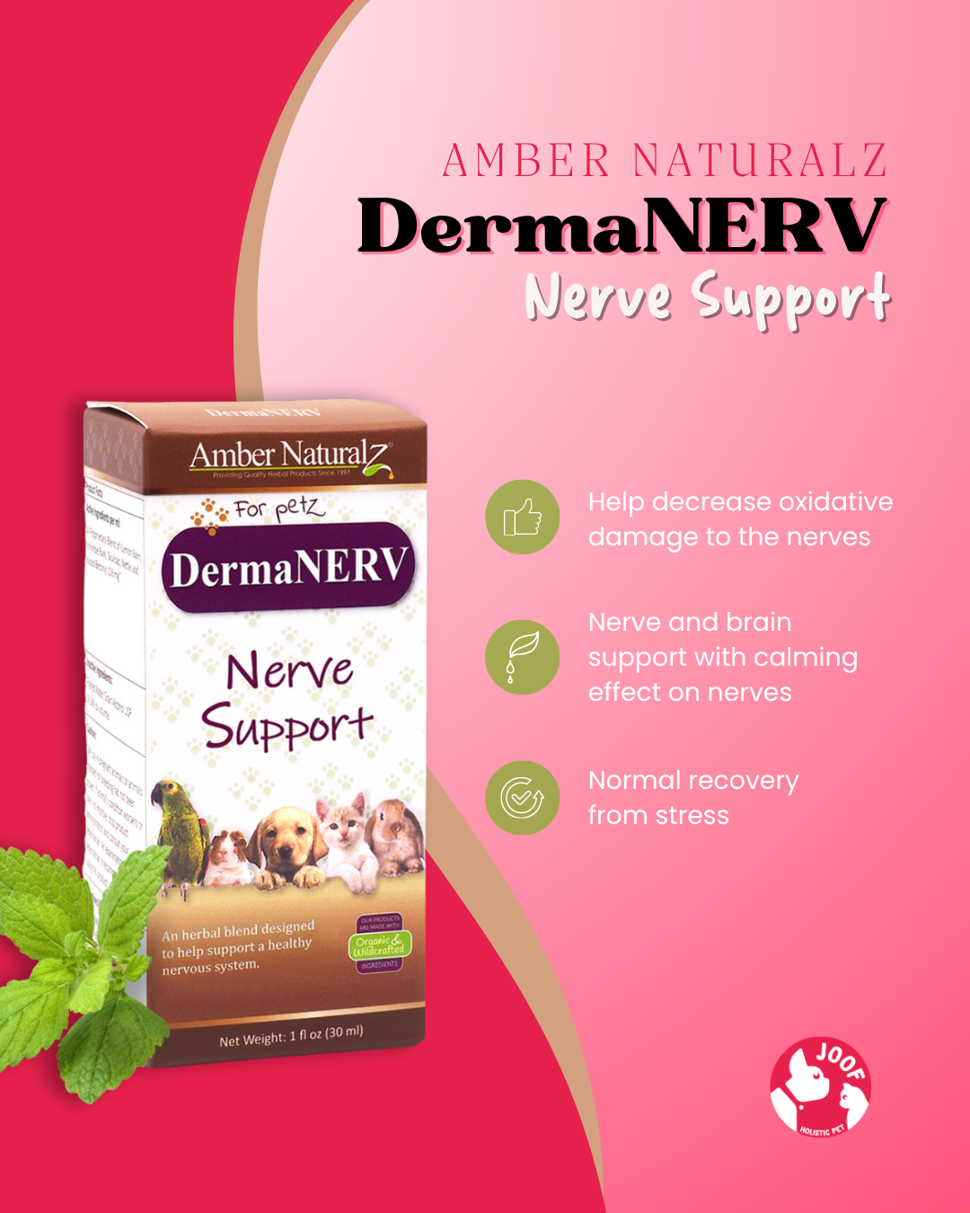 Amber Naturalz DermaNERV (1oz) Nerve Skin Neurological Support Herbal Tincture for Dogs and Cats