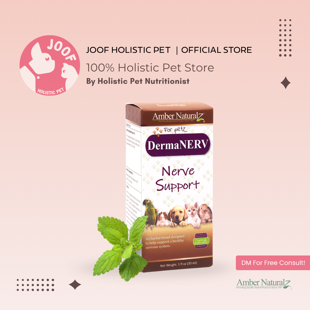 Amber Naturalz DermaNERV (1oz) Nerve Skin Neurological Support Herbal Tincture for Dogs and Cats