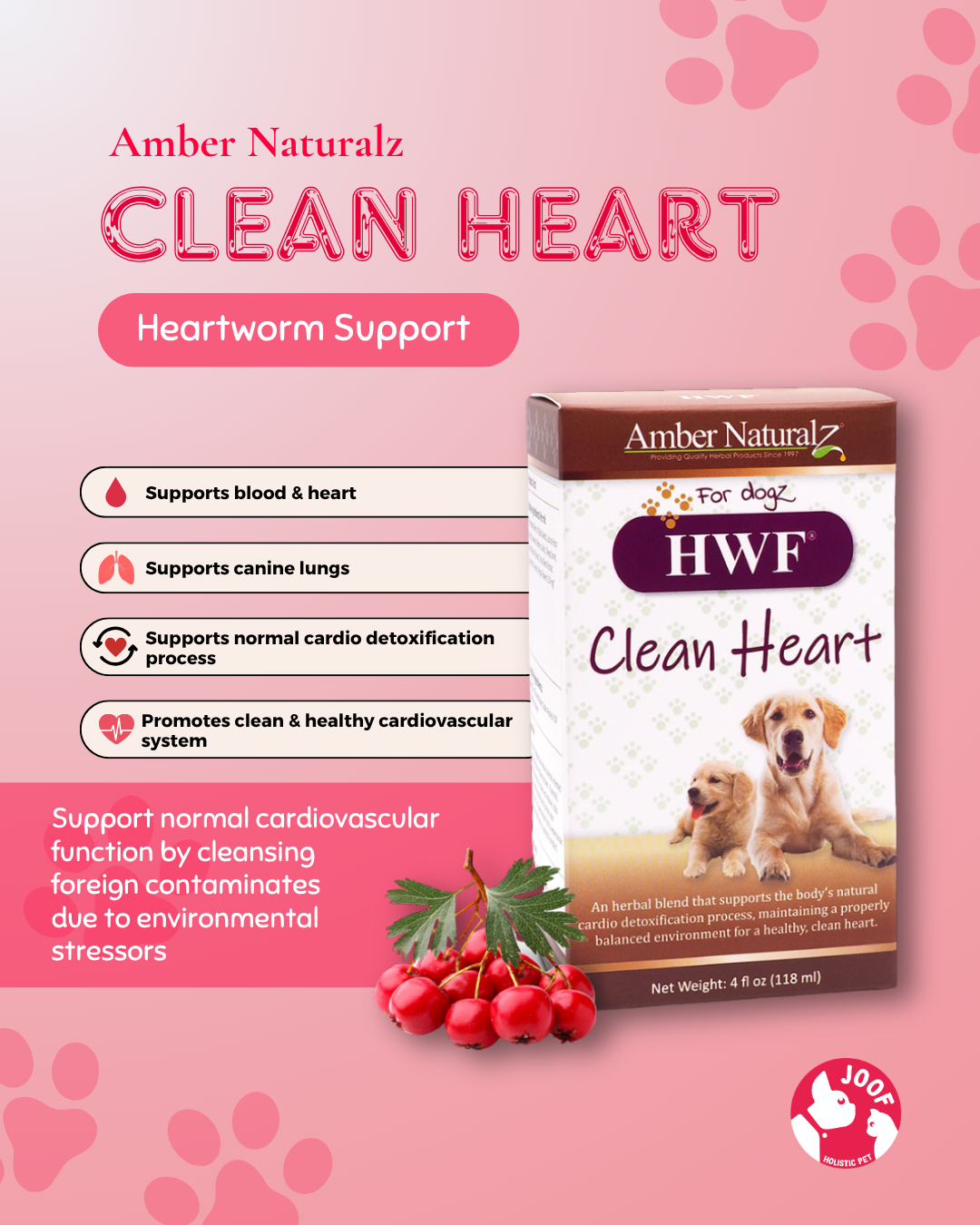 Amber Naturalz HWF Clean Heart (4oz) Heartworm Support Herbal Tincture for Dogs