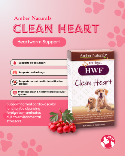 Amber Naturalz HWF Clean Heart (4oz) Heartworm Support Herbal Tincture for Dogs