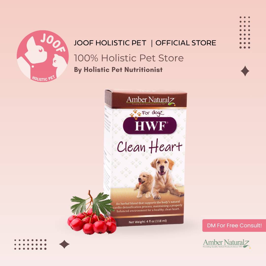 Amber Naturalz HWF Clean Heart (4oz) Heartworm Support Herbal Tincture for Dogs
