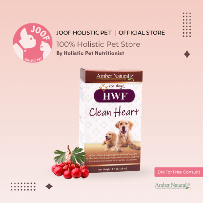 Amber Naturalz HWF Clean Heart (4oz) Heartworm Support Herbal Tincture for Dogs