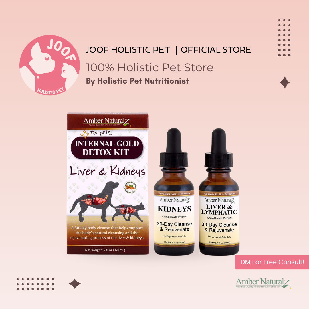 Amber Naturalz Internal Gold Detox Kit (1oz) Liver Kidney Detox Support Herbal Tincture for Dogs and Cats