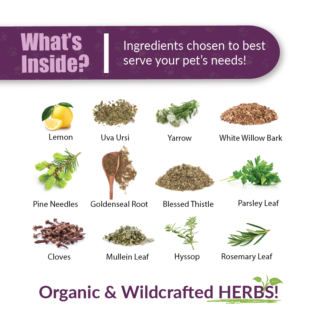 Amber Naturalz Kidney Rejuvenator (1oz) Kidney Urinary Tract Support Herbal Tincture for Dogs and Cats