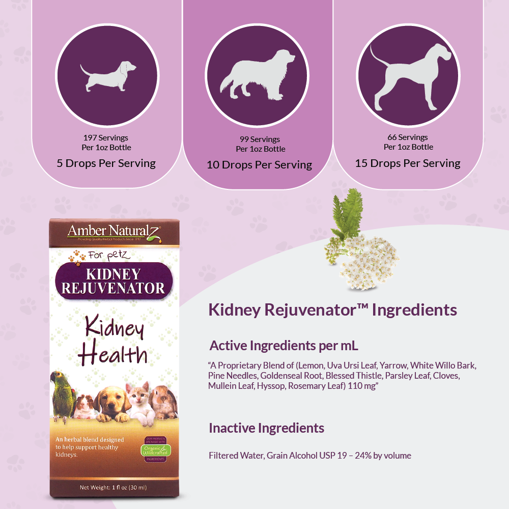 Amber Naturalz Kidney Rejuvenator (1oz) Kidney Urinary Tract Support Herbal Tincture for Dogs and Cats