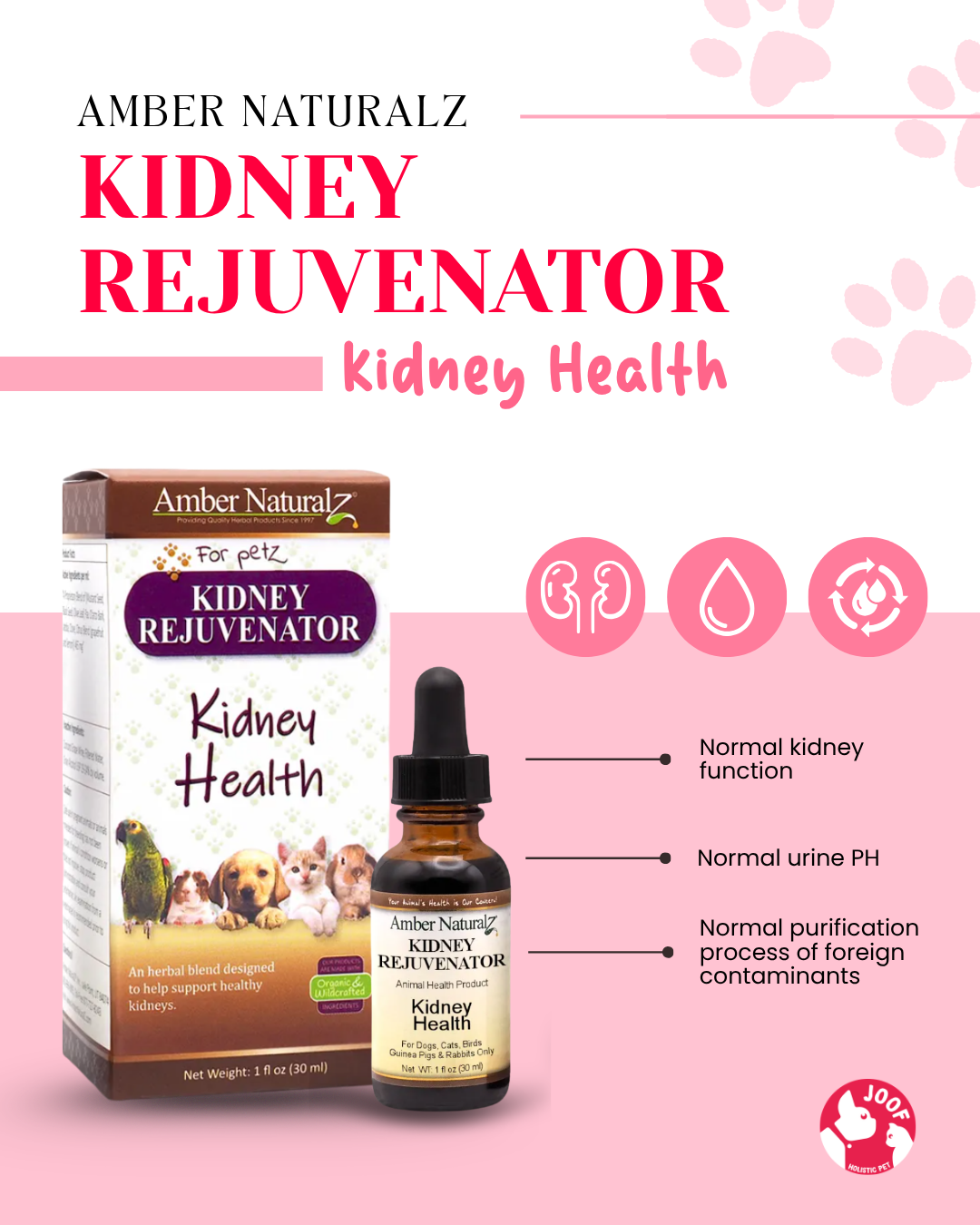 Amber Naturalz Kidney Rejuvenator (1oz) Kidney Urinary Tract Support Herbal Tincture for Dogs and Cats