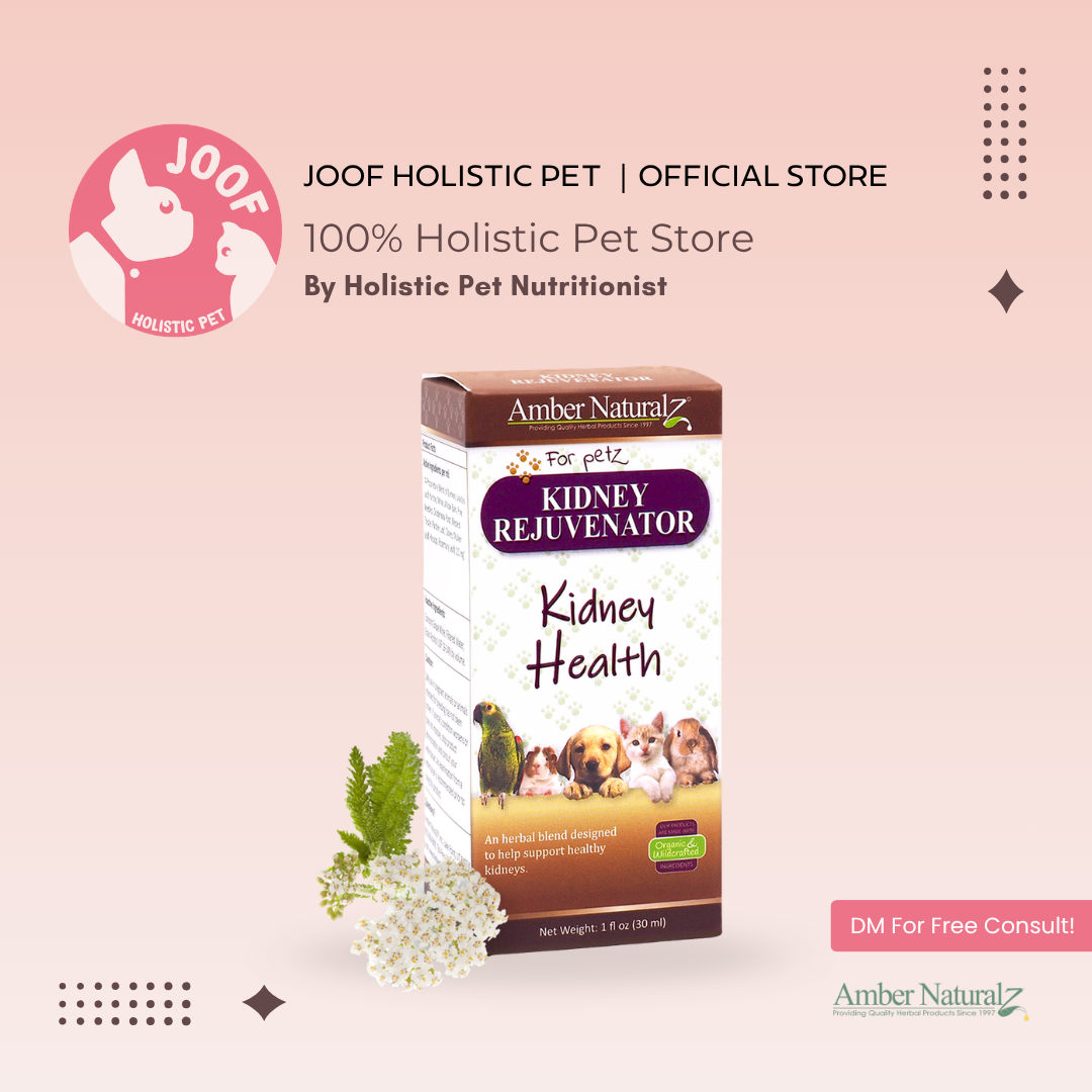 Amber Naturalz Kidney Rejuvenator (1oz) Kidney Urinary Tract Support Herbal Tincture for Dogs and Cats