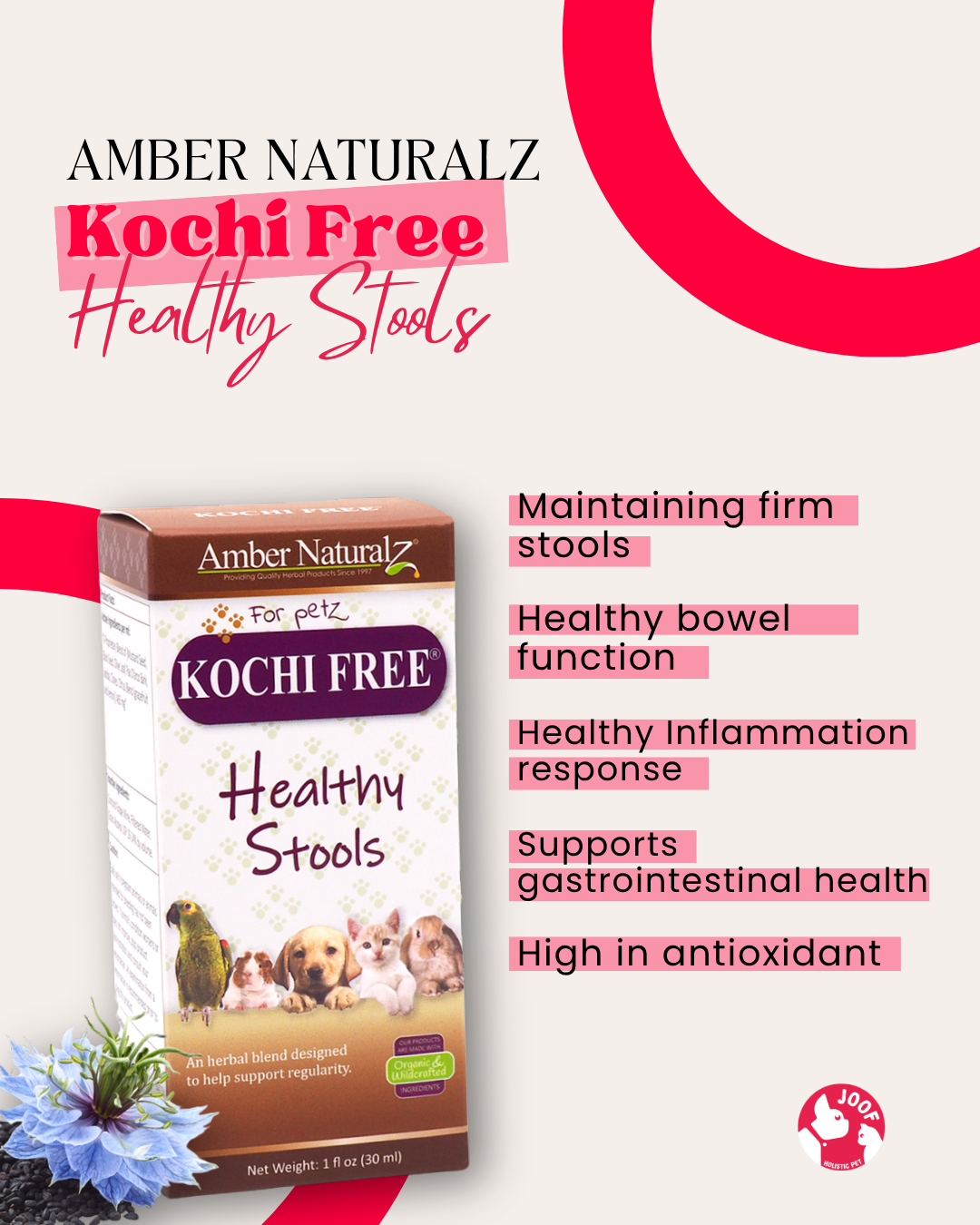 Amber Naturalz Kochi Free (1oz) Giardia Cryptosporidium Parasite Support Herbal Tincture for Dogs and Cats