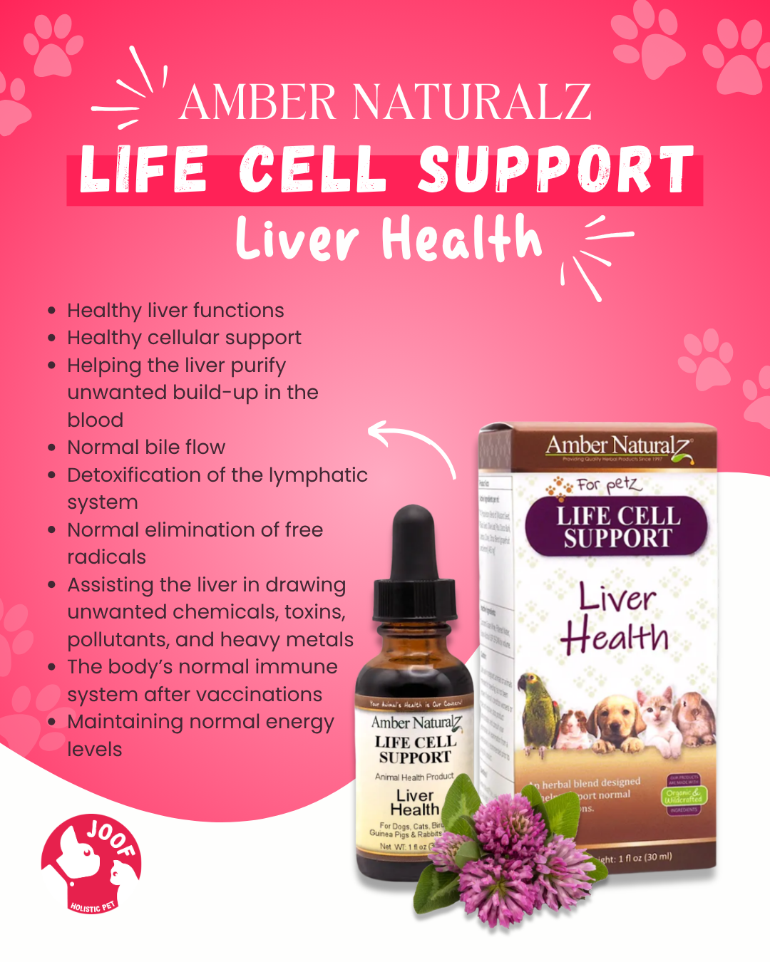 Amber Naturalz Life Cell Support (1oz) Liver Lymphatic Detox Support Herbal Tincture for Dogs and Cats
