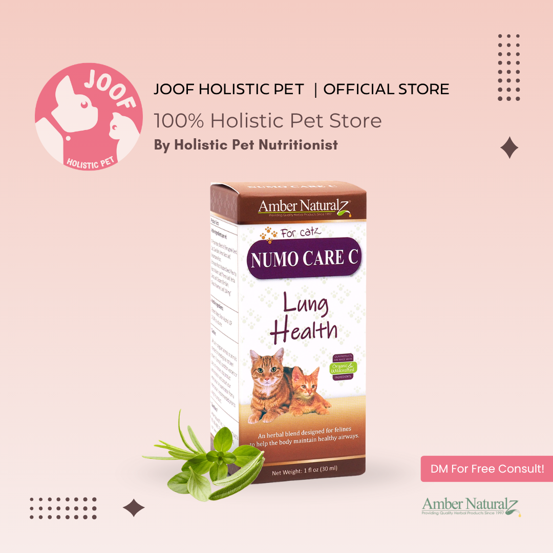 Amber Naturalz Numo Care (1oz) Lung Tracheal Respiratory Support Herbal Tincture for Dogs and Cats